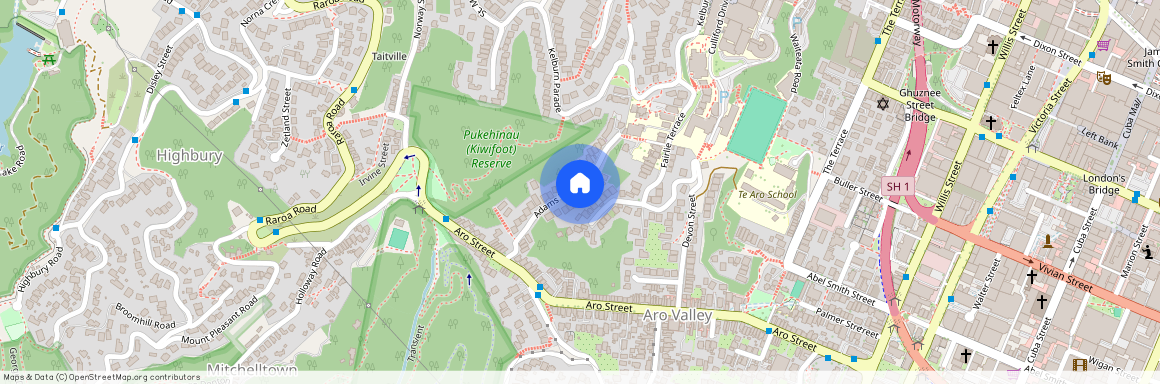 32 Adams Terrace, Aro Valley, Wellington City