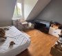 Maison en location à Saint-Jean-le-Blanc - Photo 5