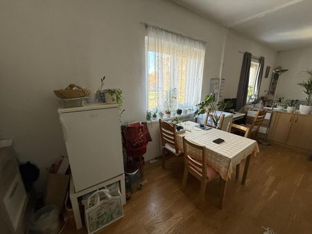 Prov-Frei - Dreihackengasse, nette Großgarconniere inkl. Küche zu vermieten nach Absprache - Photo 5