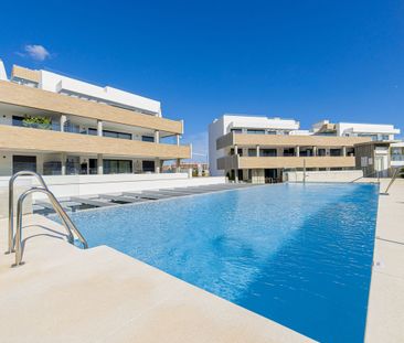 Ground Floor Apartment · Altos De Los Monteros - Photo 5
