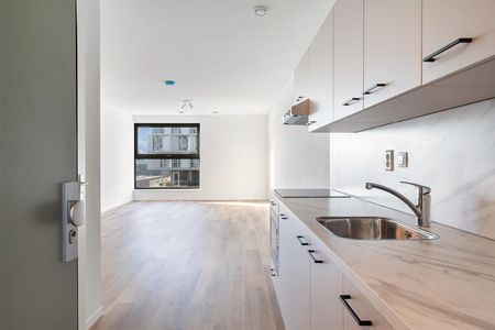 Te huur: Appartement Lise Meitnerhof in Leiden - Foto 3