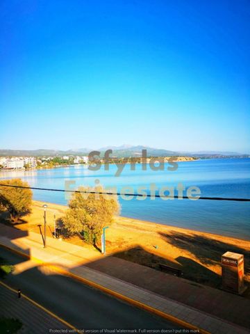Διαμέρισμα για ενοικίαση Λευκαντί (Ληλάντιο) - Photo 3