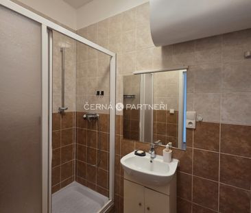 Pronájem bytu 1+1 37 m² - Photo 3