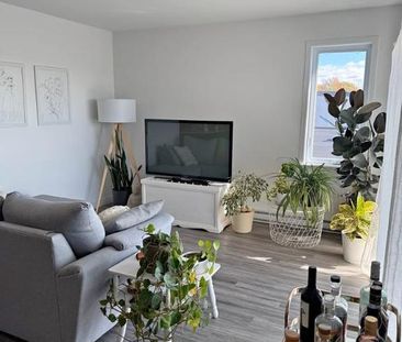 Superbe logement 3 1/2 + bureau à St-Nicolas, 1ier étage, climatisé... - Photo 3