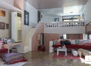 Μονοκατοικία για ενοικίαση - Δροσιά - Φωτογραφία 3