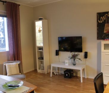 Lotta Svärdsgatan, Göteborg - Photo 4