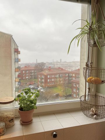 Doktor Liborius Gata, Göteborg - Foto 4