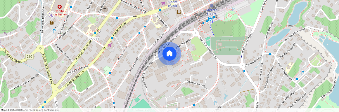 Avenue des Platanes 15, 3960 Sierre