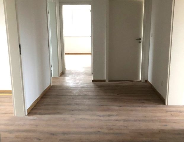 Charmante 3 Zimmer - Wohnung! - Foto 1