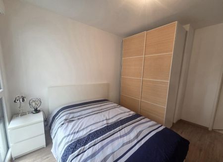 Location Appartement 2 pièces Meublé 46m² ST JULIEN EN GENEVOIS 74160 - Photo 5