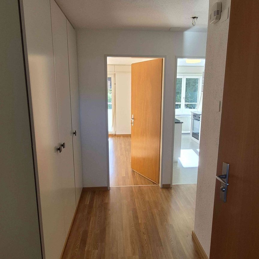 2 Zimmer, 54 m², EG - Photo 1
