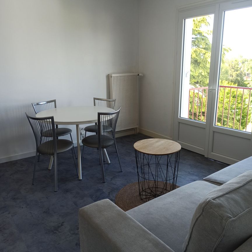 Location Appartement 1 pièce 30m² SAUMUR 49400 - Photo 1