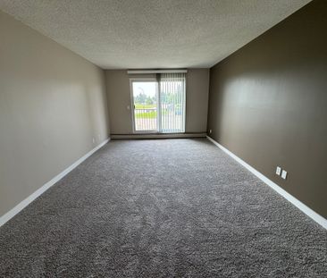1 Bedroom Cat Friendly Suite in Clearview - Photo 5