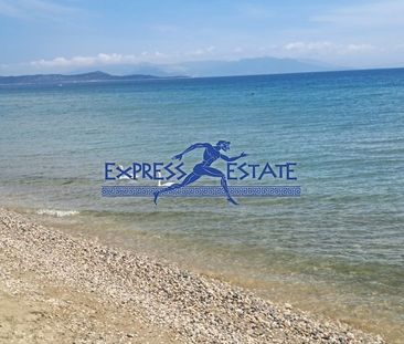Μονοκατοικία για ενοικίαση Άγιος Παντελεήμονας (Μαραθώνας) - Photo 5