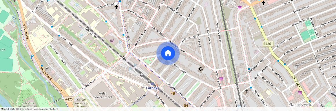 Miskin Street, CF24 4AR, Cathays