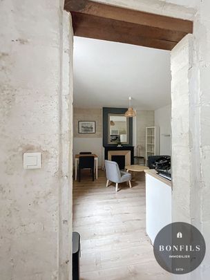 A LOUER AVIGNON (84000) INTRA-MUROS : charmant T1 BIS meublé - au coeur du centre ville !, - Photo 1