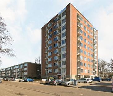 Pisanostraat 5623 Eindhoven - Photo 1