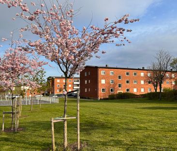 Bergstrands väg, Simrishamn - Foto 5