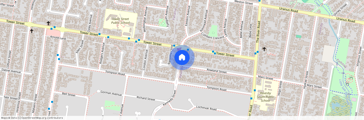 62 Rowland Street, NSW 2212, Revesby