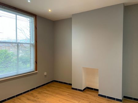 Ullet Road, L17 - Photo 3