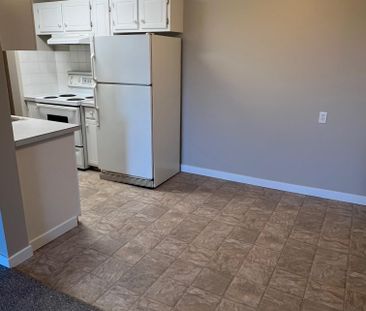 Spacious 2nd Floor 2 Bedroom Cat Friendly Suite in Clearview! - Photo 6