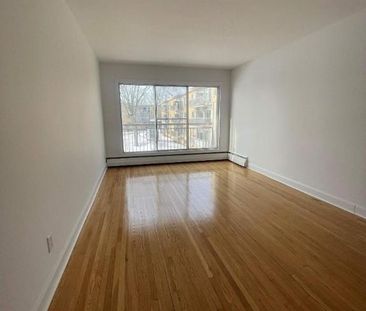 1 CH - 1 SDB - Montréal - $1,300 /mo - Photo 3