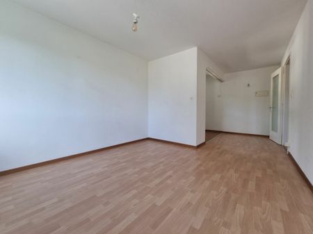 2.5 Zimmer, EG - Photo 4