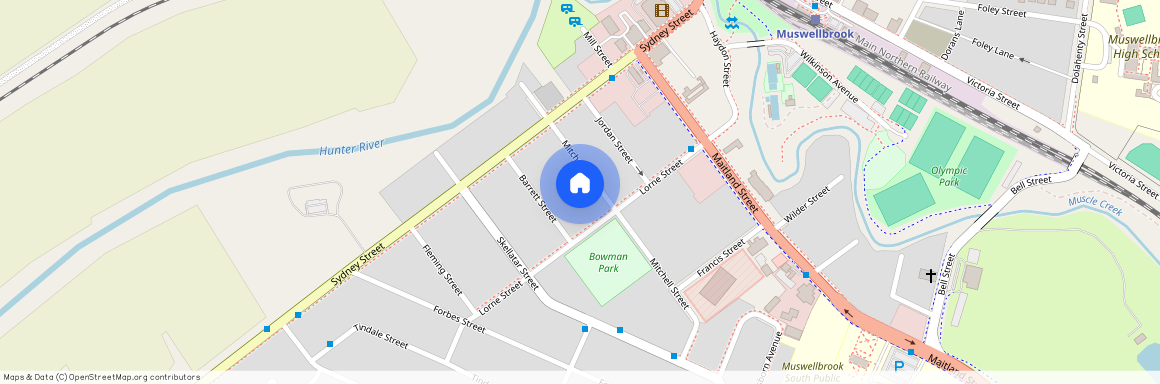 19 Mitchell St, NSW 2333, Muswellbrook