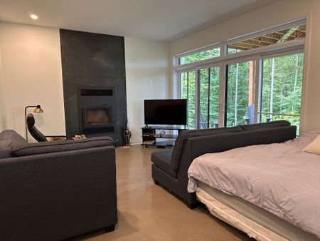 Ch. du Lac-Morency, J8A 2N3, Saint-Hippolyte - Photo 5