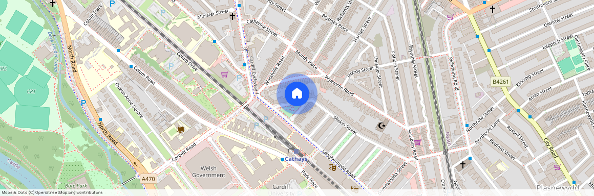 Miskin Street, CF24 4AS, Cathays