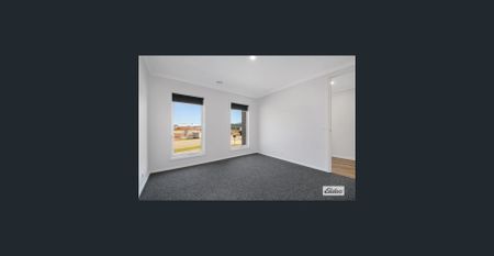 Brand-new Afonso build! - Photo 2