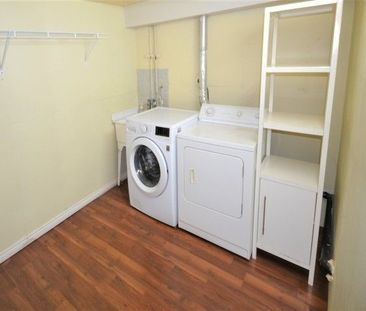 For Lease - 260 Green Road Unit# Bsmt., Hamilton, Ontario - Photo 4