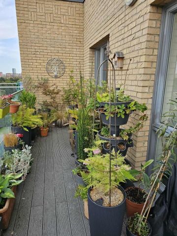 Room in a Shared Flat, Bramble Path, E3 - Photo 5