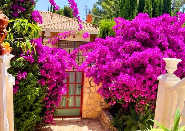 LONG TERM RENTAL. Spacious villa with 6 bedrooms for rent.