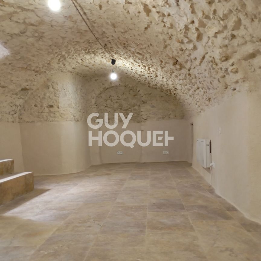 LOCATION : appartement atypique T2 (75 m²) à CHATEAUNEUF DU PAPE - Photo 1