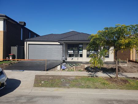 Beautiful Family Home with 4 bedroom, 2 bathroom and double garage!!!!!!!!! - Photo 2