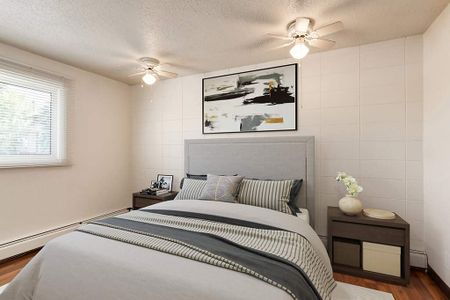 Renovated Suite - 2 Bedroom - Photo 5