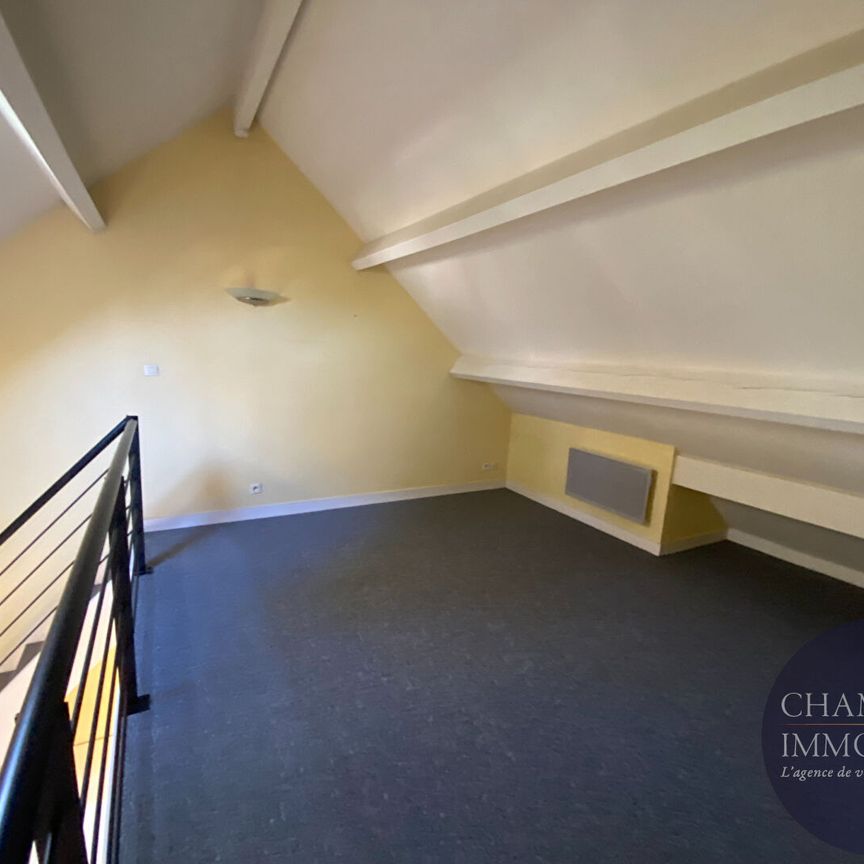 À louer charmant Appartement - Photo 1