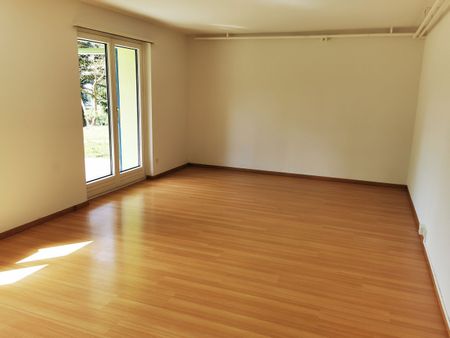 Ideale Singlewohnung am Stadtrand von Zürich! - Photo 3