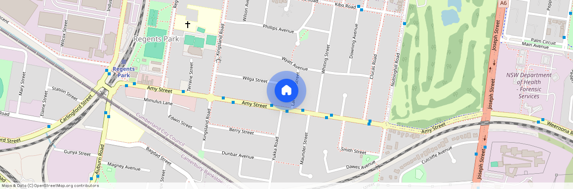 9A Larcombe Street, NSW 2143, Regents Park