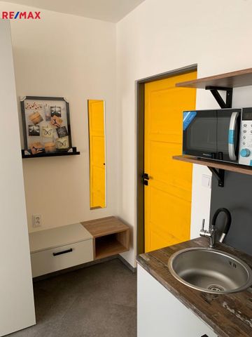 Pronájem bytu 1+kk v osobním vlastnictví 25 m², Havířov - Fotografie 4