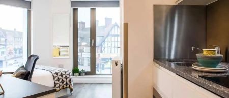 Silver Studio - Photo 5