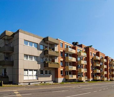 Demnächst frei! 2-Zimmer-Wohnung in Rösrath - Photo 3