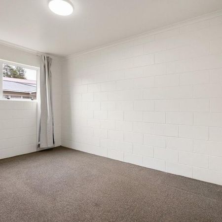 3/74a Palmerston Street - Photo 4