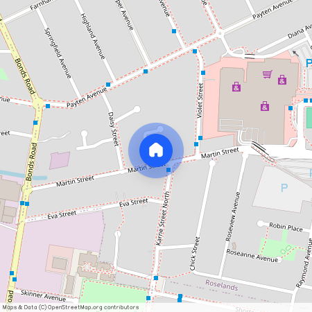 30 Martin Street, Roselands, NSW 2196