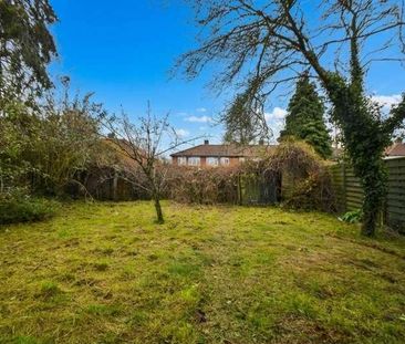 Plumstead Road, Norwich, NR1 - Photo 2