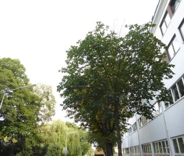 Top-sanierte, helle, super-großzügige 3-Zimmer-Neubauwohnung in der... - Photo 4