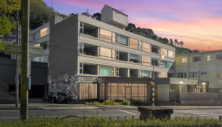 Welcome to apartment 209 at Sharella Living in Thorndon. - Photo 2