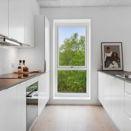 Stor 3 vær med terrasse - Foto 4