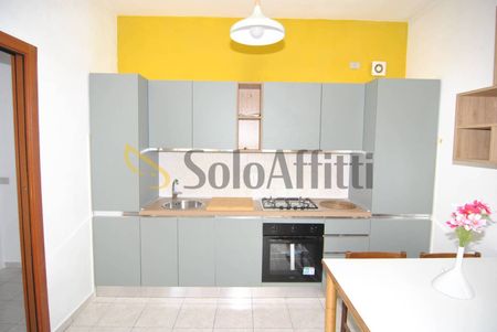 Monolocale via de Larderel 88, Cisternone, Livorno - Photo 5